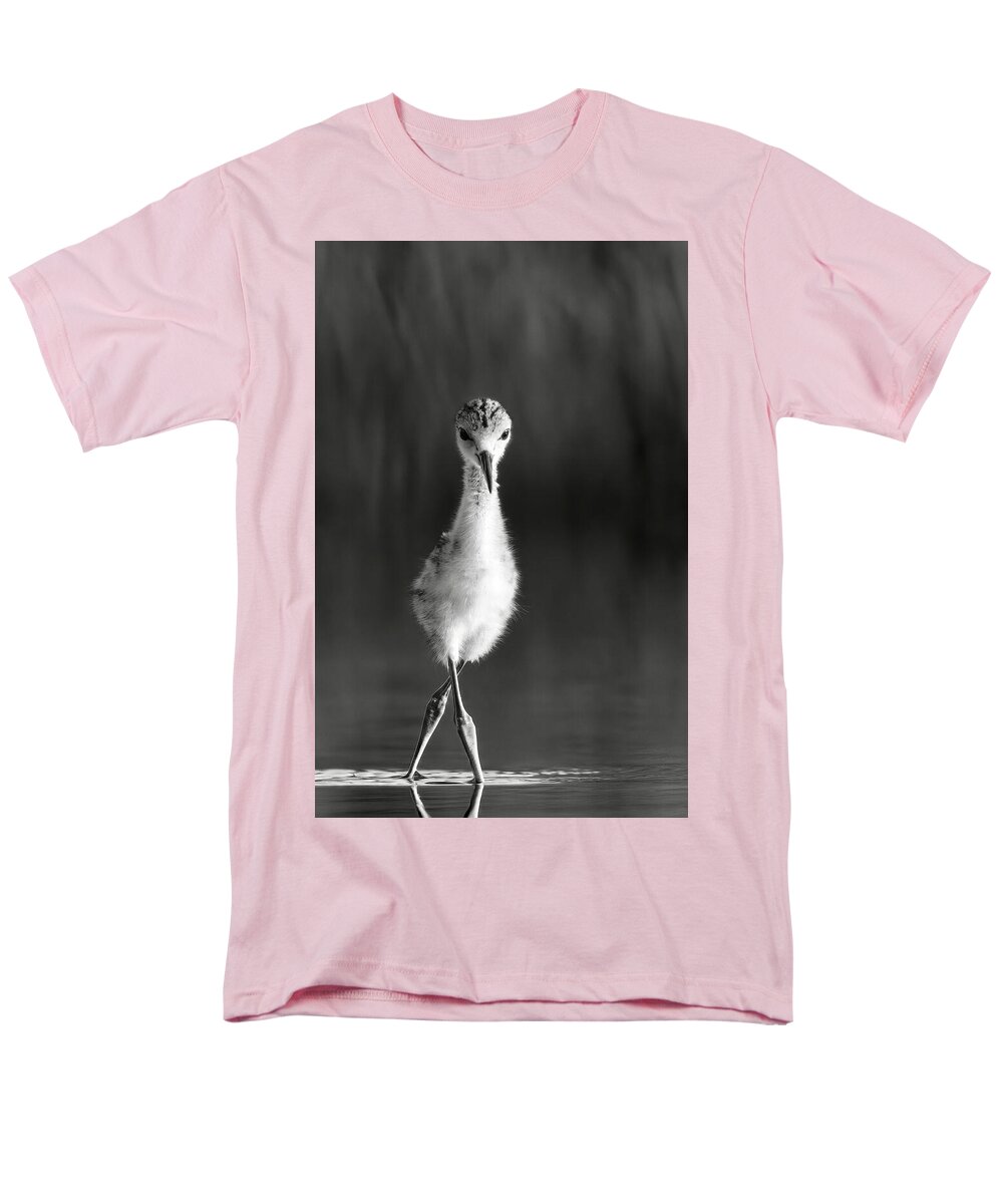 Curious Young Bird Standing in Water - Men's T-Shirt  (Regular Fit)
