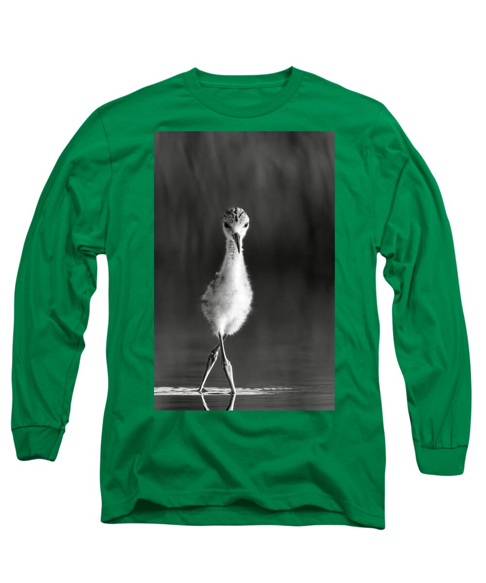 Curious Young Bird Standing in Water - Long Sleeve T-Shirt