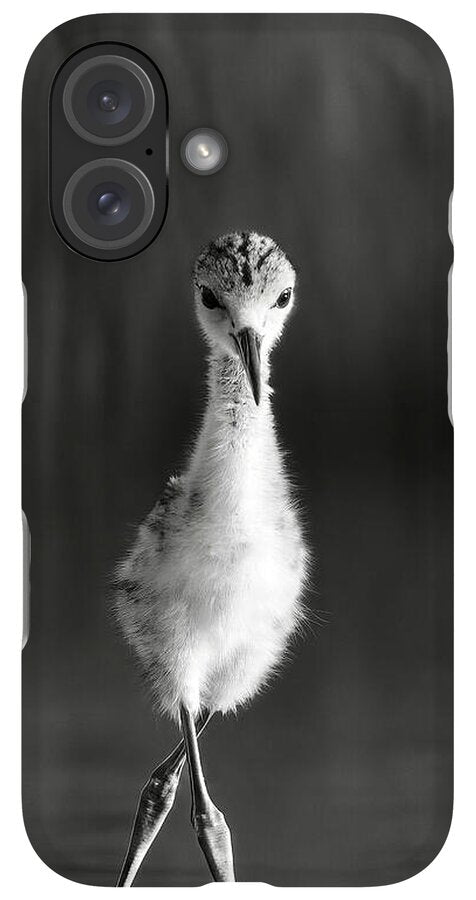 Curious Young Bird Standing in Water - Phone Case