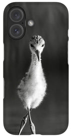 Curious Young Bird Standing in Water - Phone Case