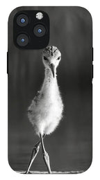 Curious Young Bird Standing in Water - Phone Case