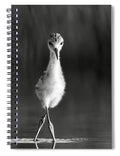 Curious Young Bird Standing in Water - Spiral Notebook