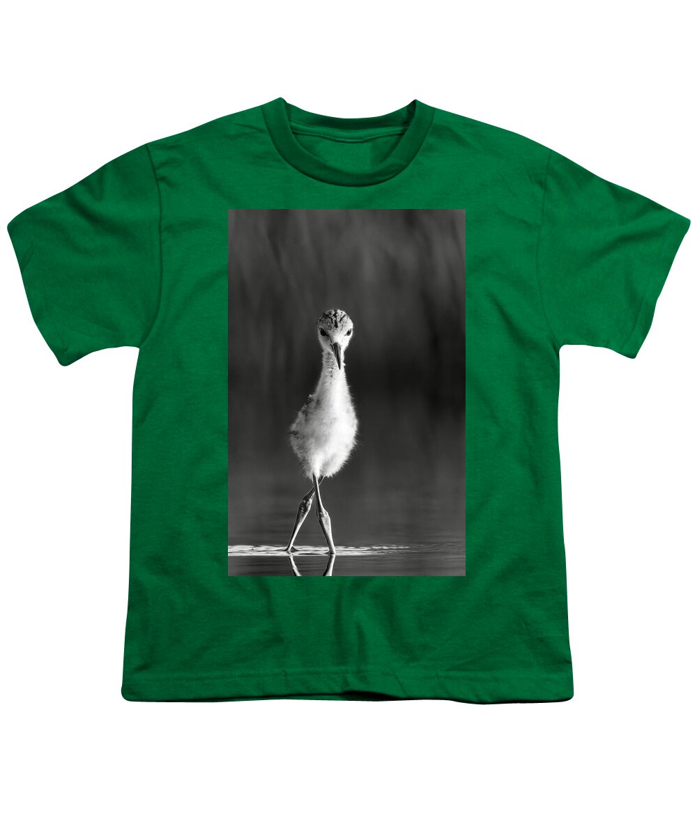 Curious Young Bird Standing in Water - Youth T-Shirt