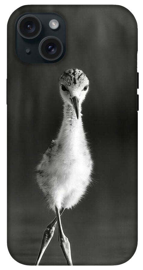 Curious Young Bird Standing in Water - Phone Case