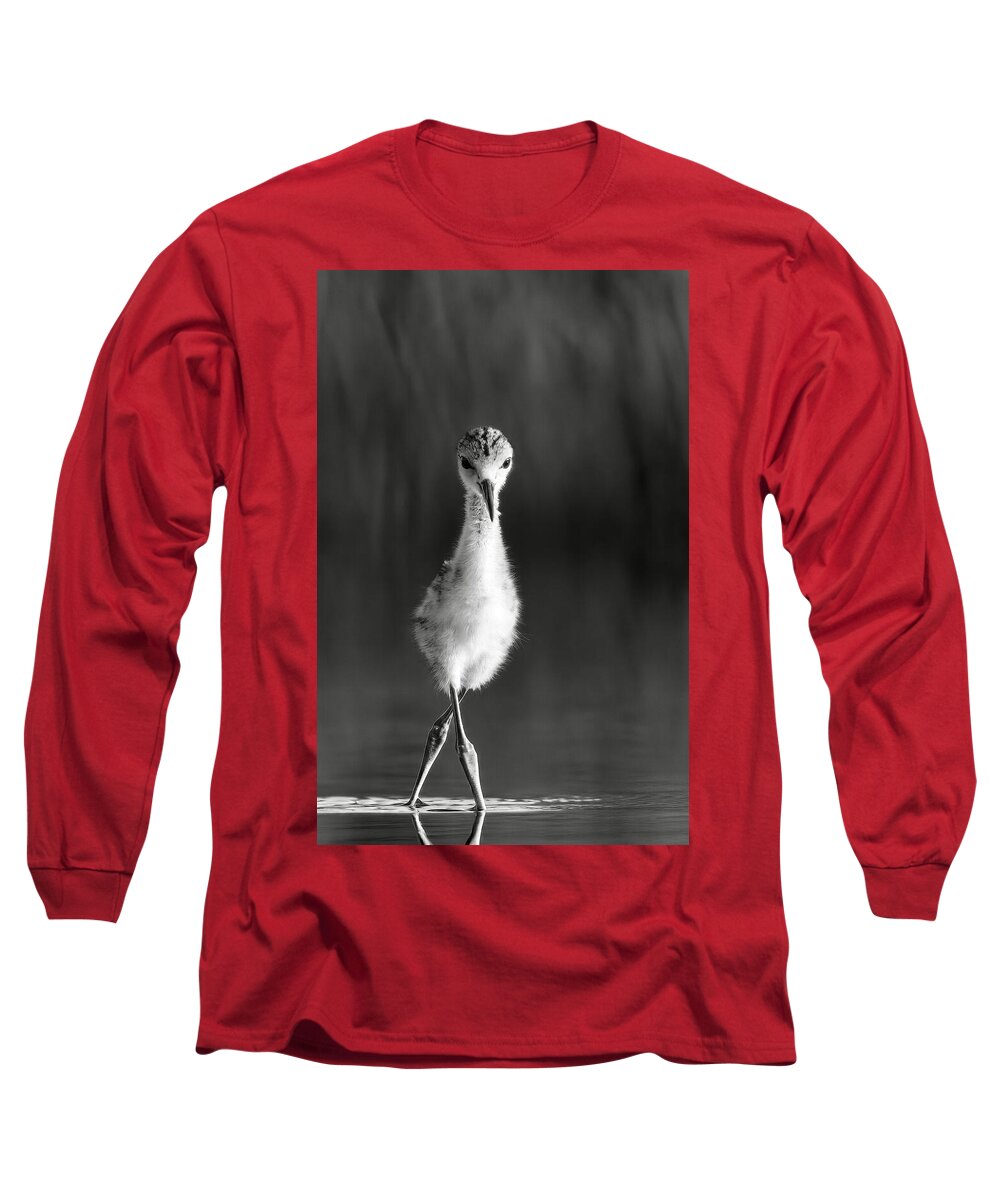 Curious Young Bird Standing in Water - Long Sleeve T-Shirt