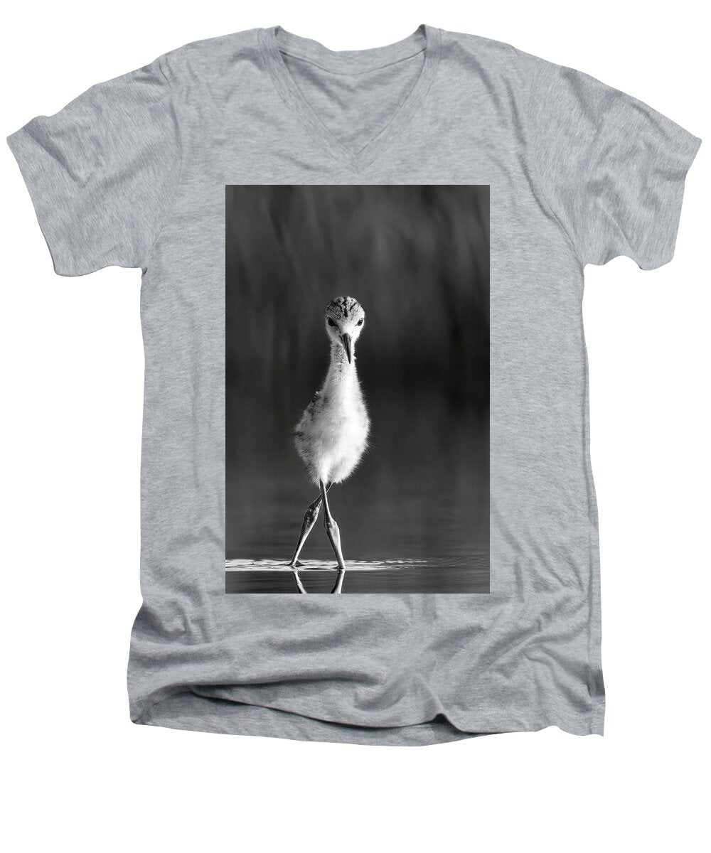 Curious Young Bird Standing in Water - Men's V-Neck T-Shirt