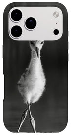 Curious Young Bird Standing in Water - Phone Case