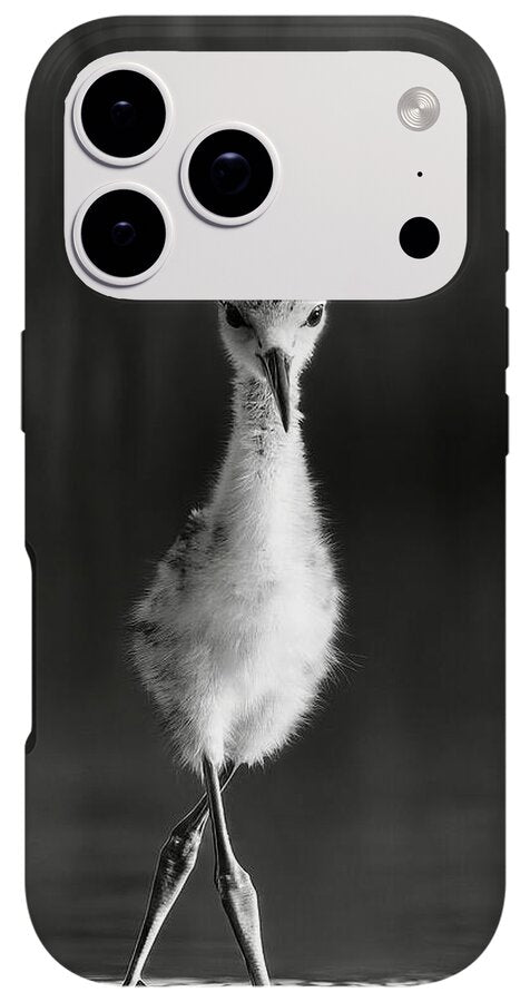 Curious Young Bird Standing in Water - Phone Case