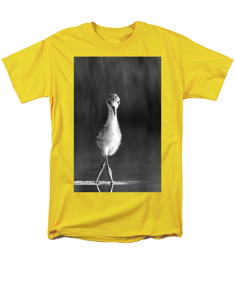 Curious Young Bird Standing in Water - Men's T-Shirt  (Regular Fit)