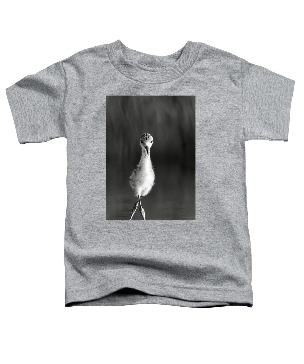 Curious Young Bird Standing in Water - Toddler T-Shirt