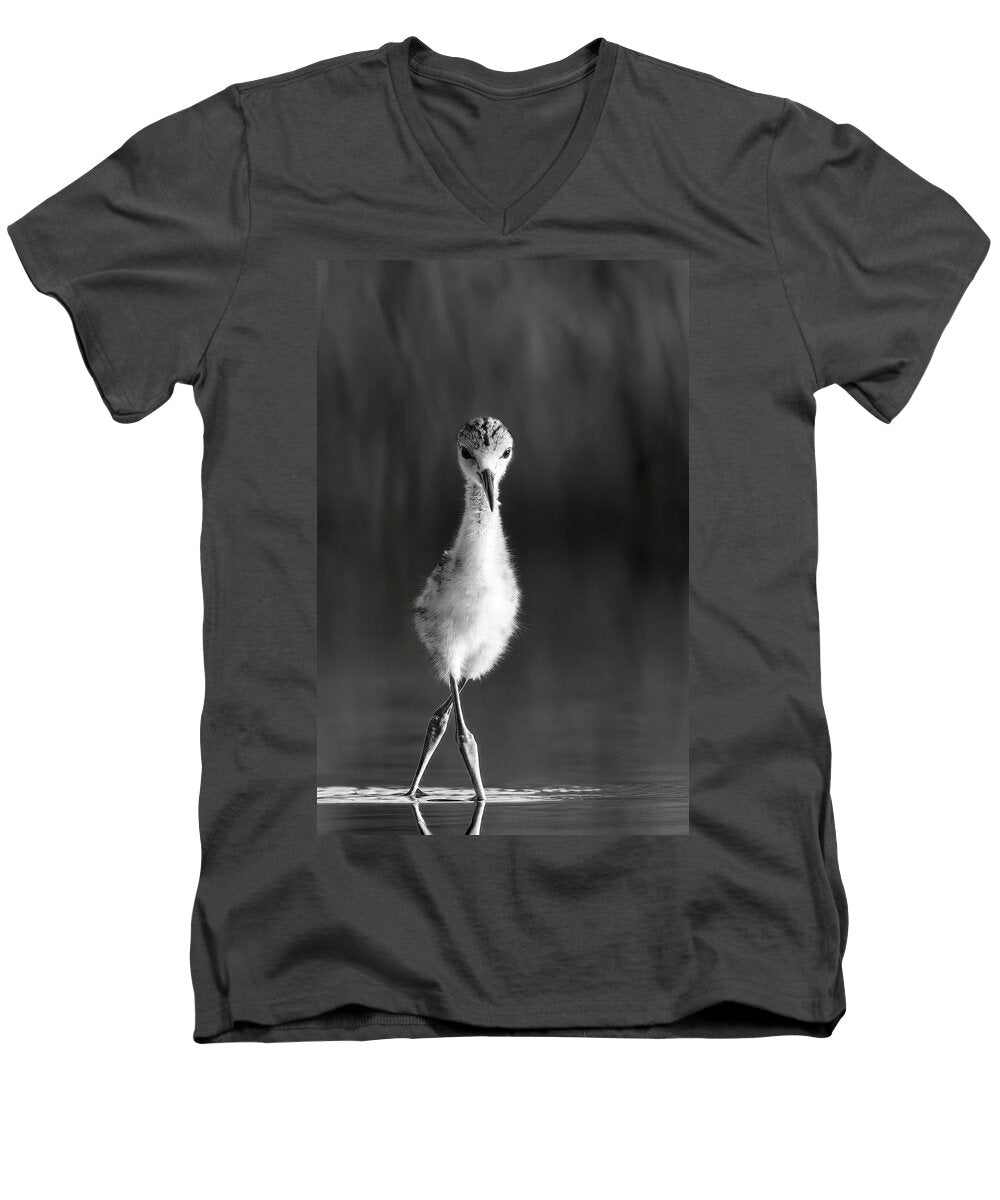 Curious Young Bird Standing in Water - Men's V-Neck T-Shirt