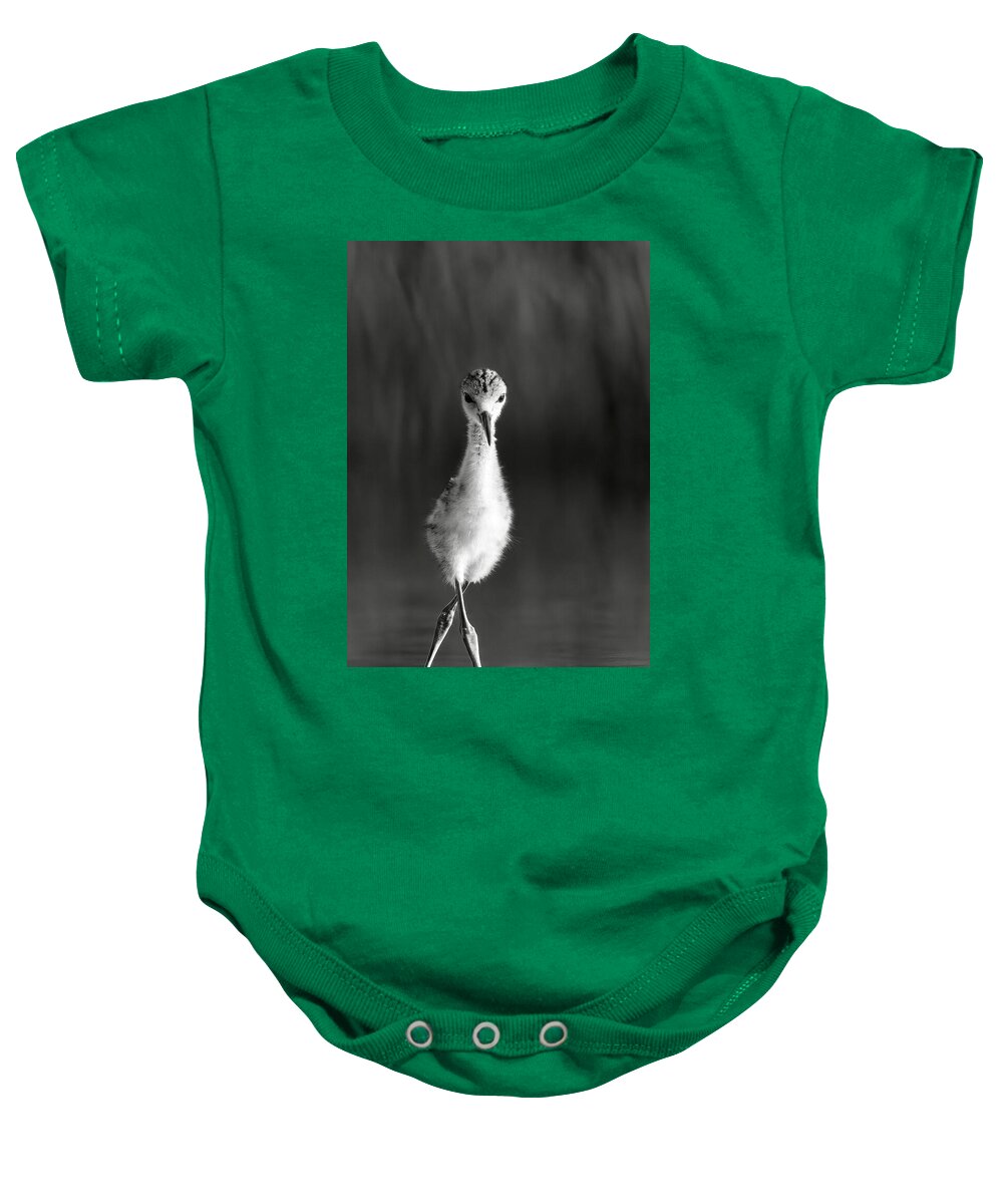 Curious Young Bird Standing in Water - Baby One-Piece