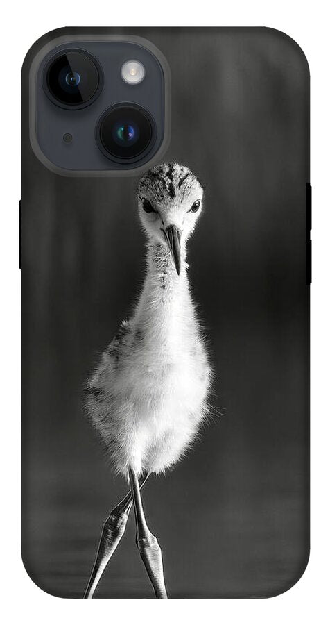 Curious Young Bird Standing in Water - Phone Case