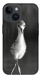 Curious Young Bird Standing in Water - Phone Case