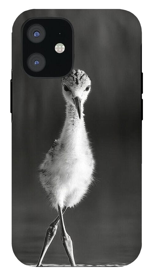 Curious Young Bird Standing in Water - Phone Case