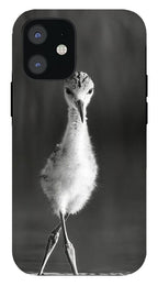 Curious Young Bird Standing in Water - Phone Case