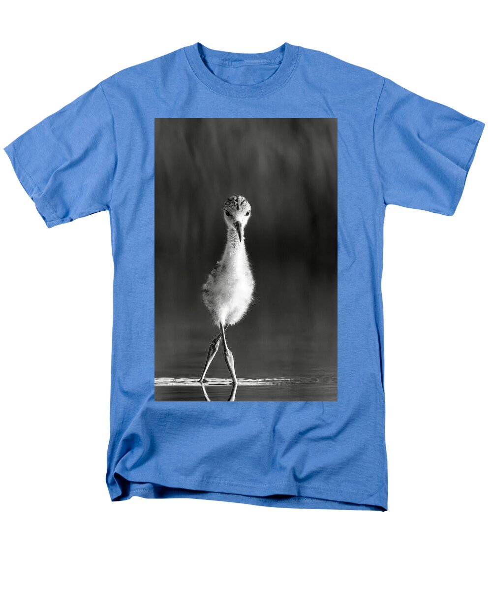 Curious Young Bird Standing in Water - Men's T-Shirt  (Regular Fit)