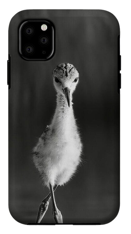 Curious Young Bird Standing in Water - Phone Case
