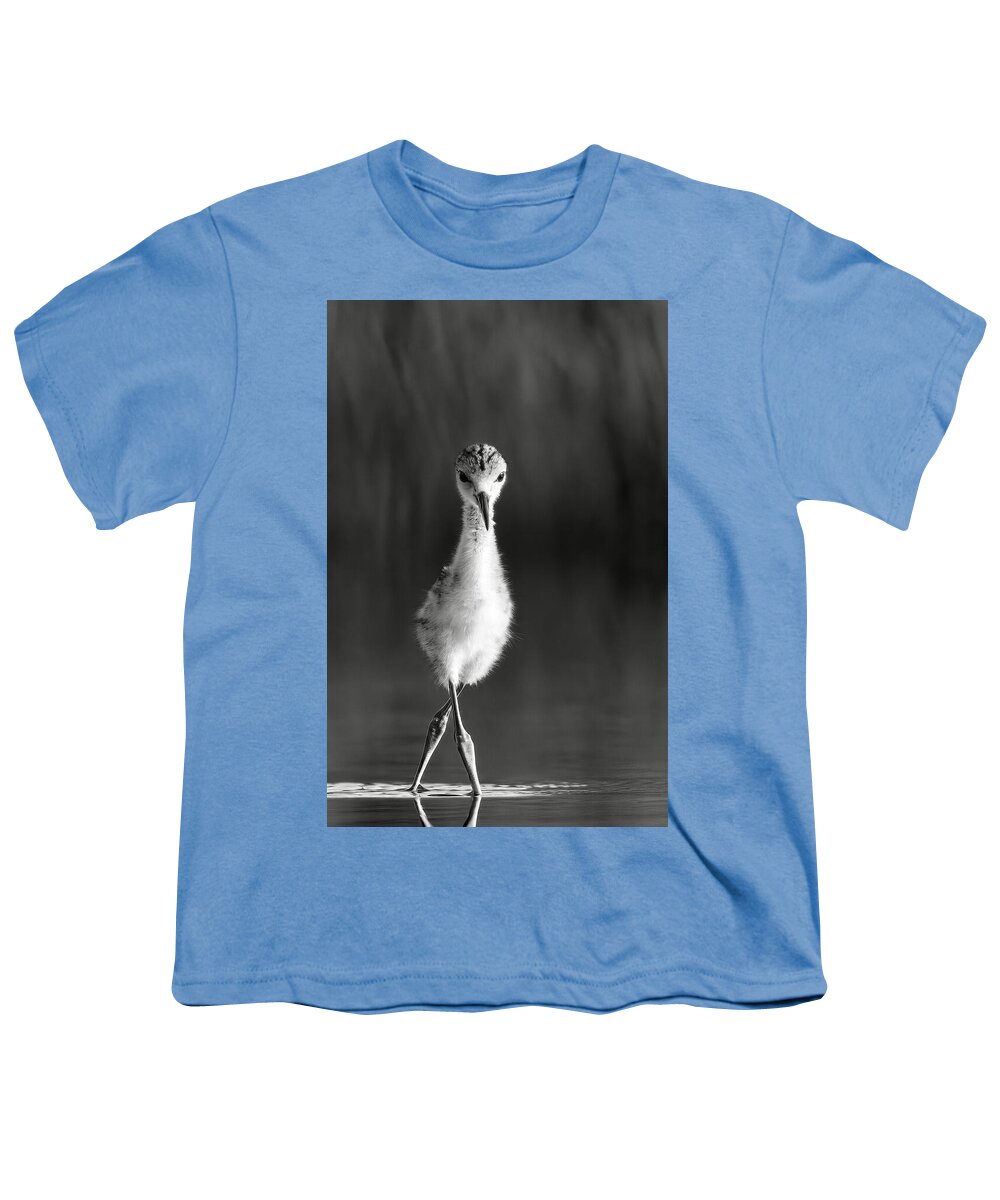 Curious Young Bird Standing in Water - Youth T-Shirt