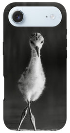 Curious Young Bird Standing in Water - Phone Case