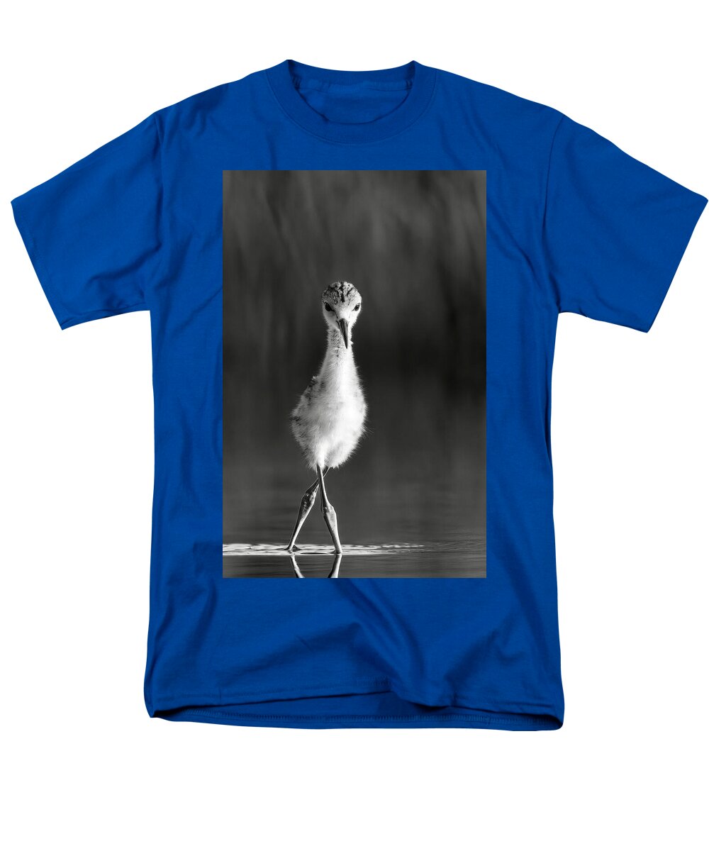Curious Young Bird Standing in Water - Men's T-Shirt  (Regular Fit)