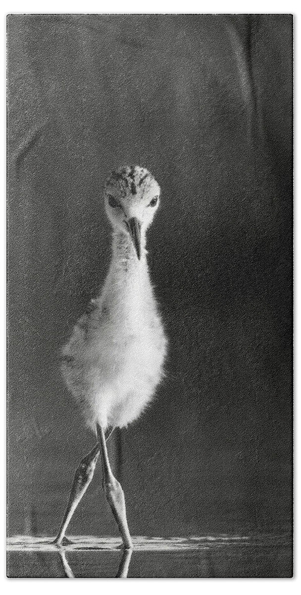 Curious Young Bird Standing in Water - Beach Towel