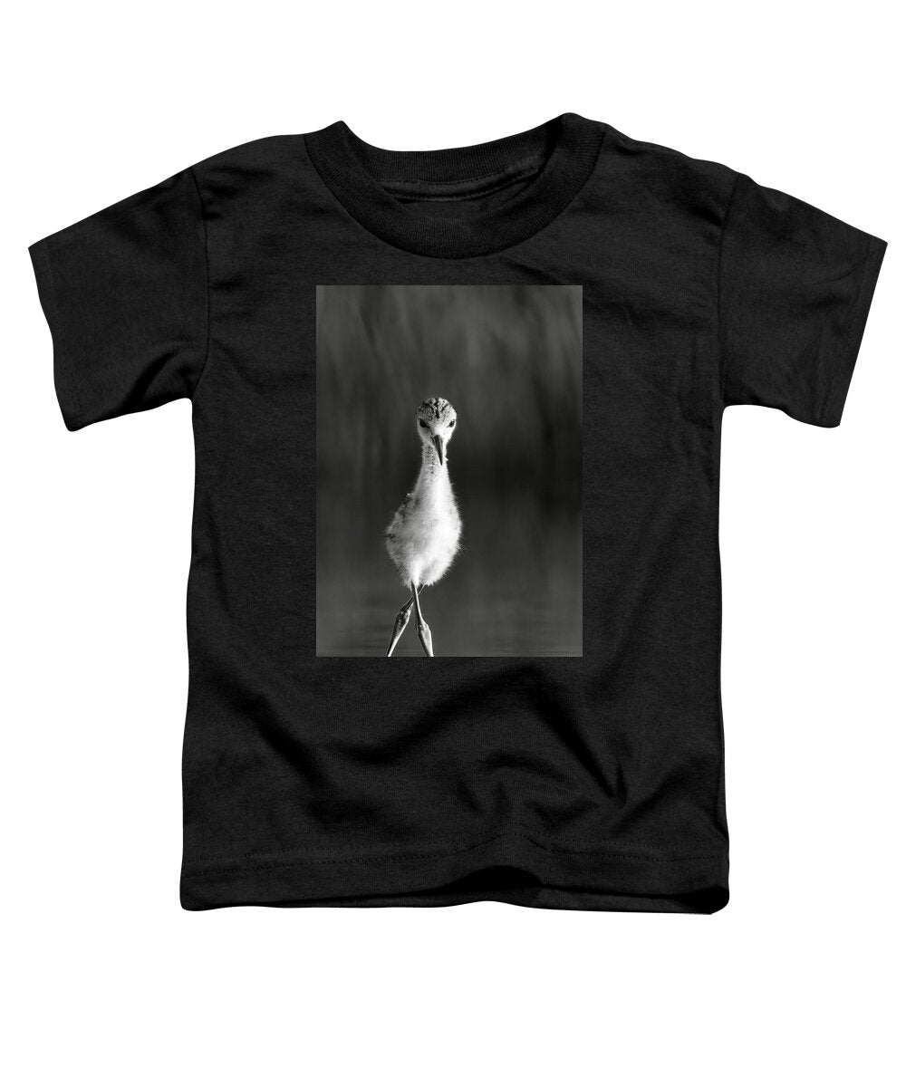 Curious Young Bird Standing in Water - Toddler T-Shirt