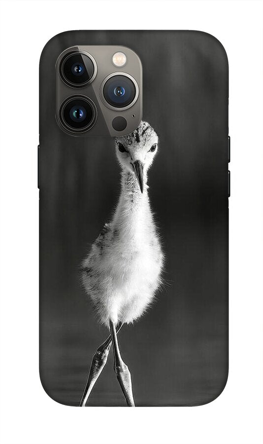 Curious Young Bird Standing in Water - Phone Case