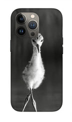 Curious Young Bird Standing in Water - Phone Case
