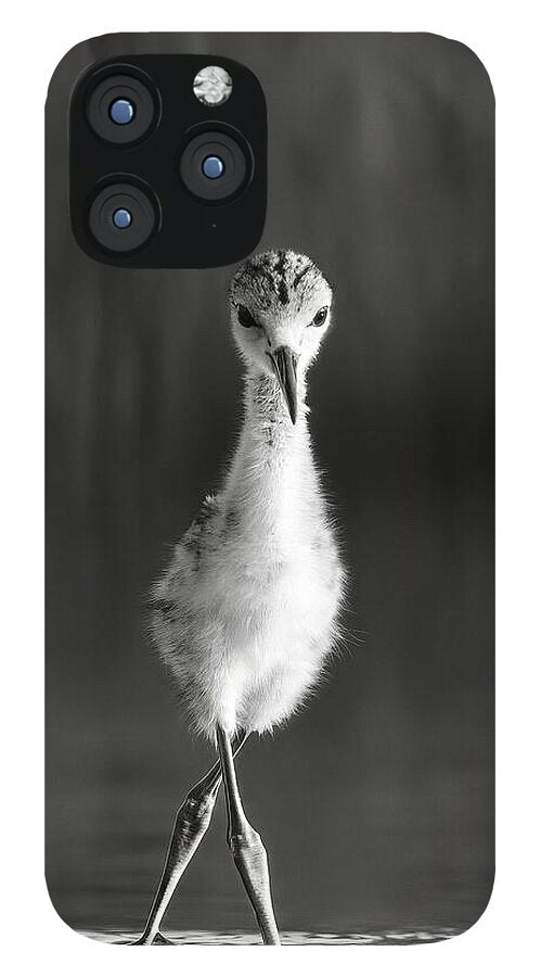 Curious Young Bird Standing in Water - Phone Case