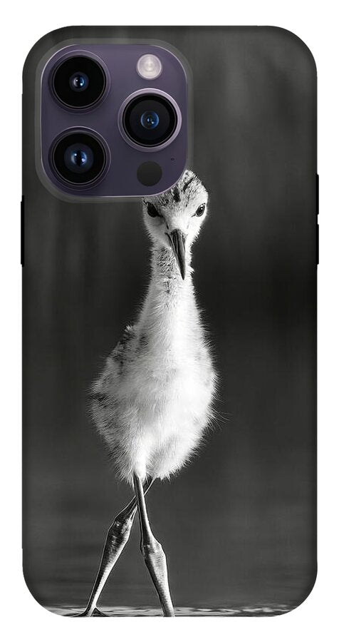 Curious Young Bird Standing in Water - Phone Case