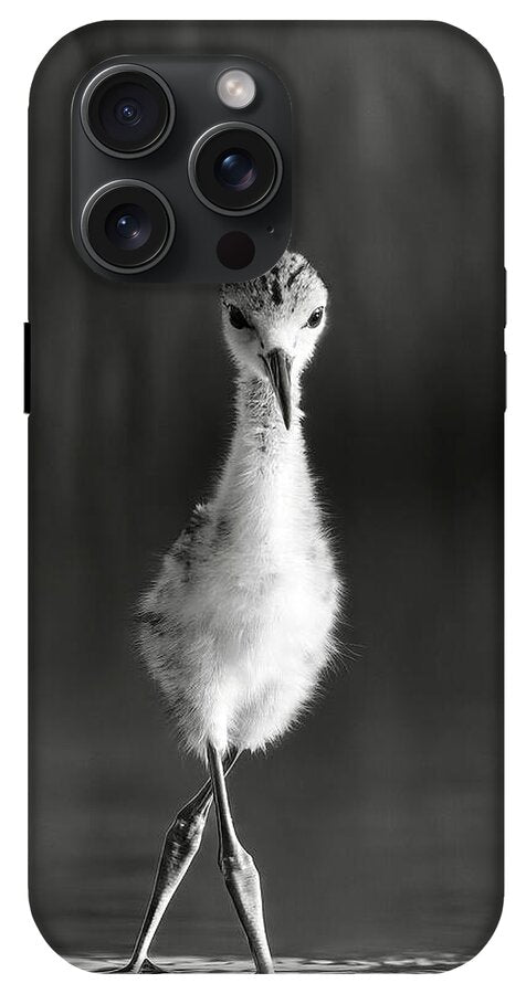 Curious Young Bird Standing in Water - Phone Case