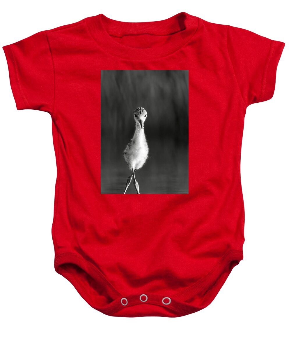 Curious Young Bird Standing in Water - Baby One-Piece
