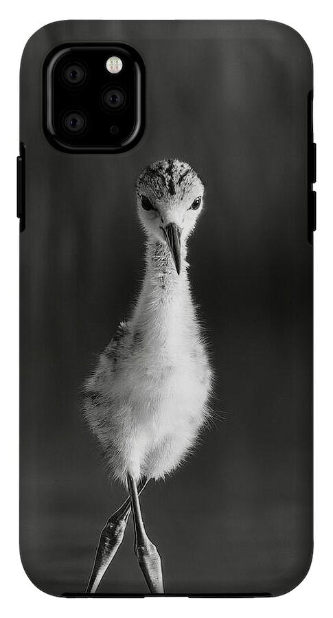 Curious Young Bird Standing in Water - Phone Case