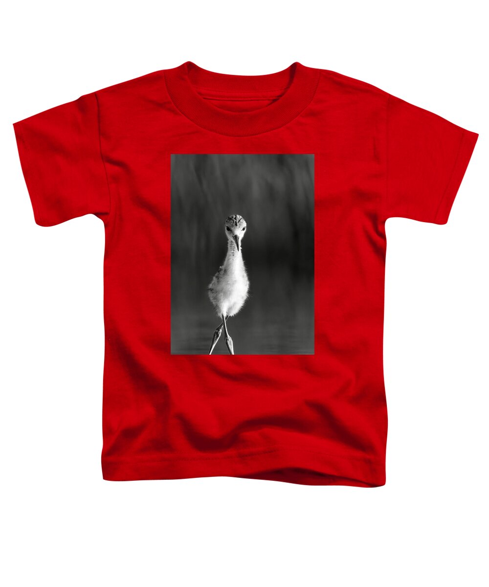 Curious Young Bird Standing in Water - Toddler T-Shirt