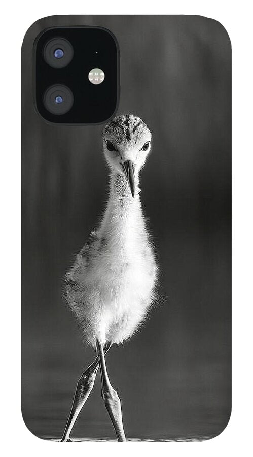 Curious Young Bird Standing in Water - Phone Case