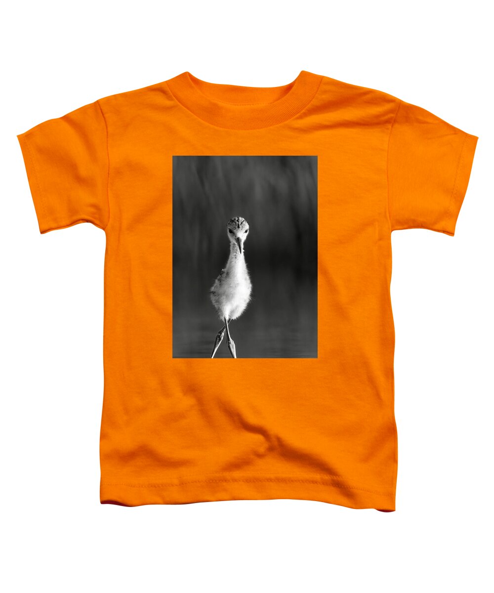 Curious Young Bird Standing in Water - Toddler T-Shirt