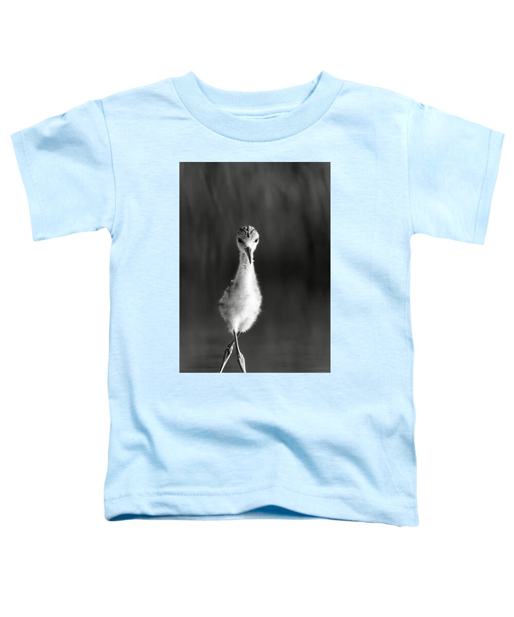Curious Young Bird Standing in Water - Toddler T-Shirt