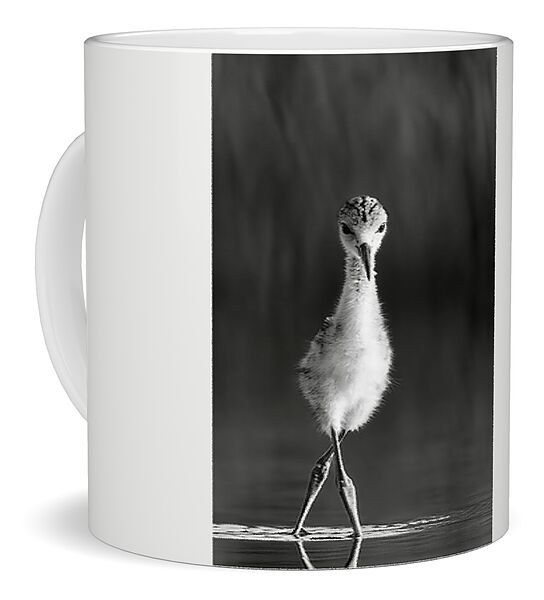 Curious Young Bird Standing in Water - Mug