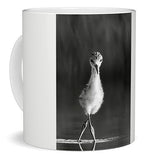 Curious Young Bird Standing in Water - Mug
