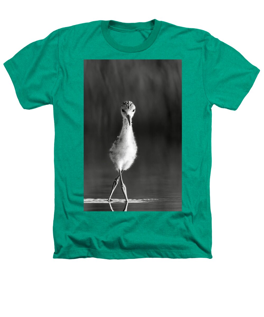 Curious Young Bird Standing in Water - Heathers T-Shirt