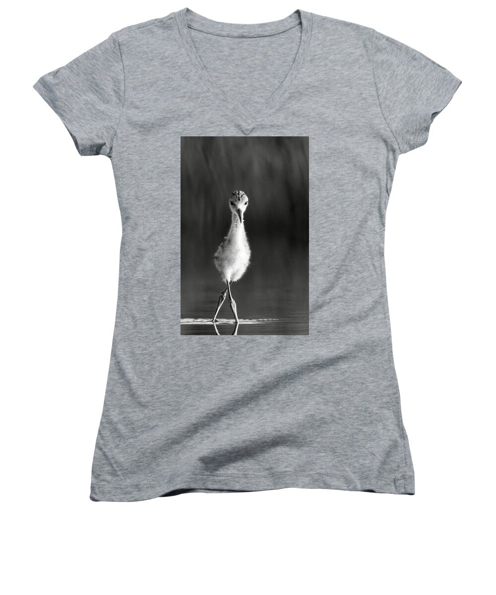 Curious Young Bird Standing in Water - Women's V-Neck