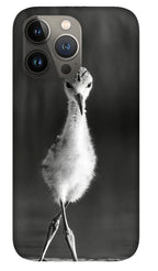 Curious Young Bird Standing in Water - Phone Case