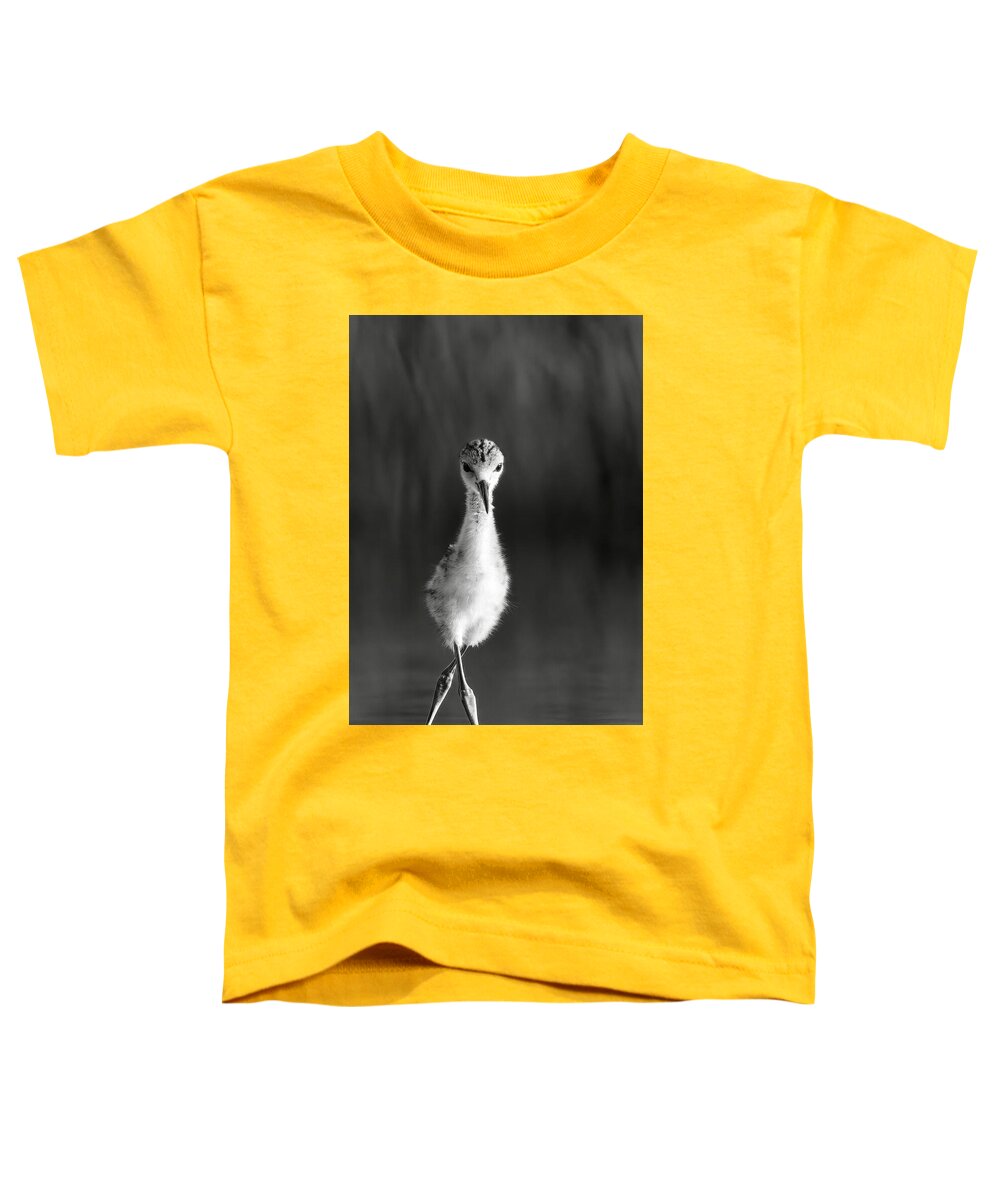 Curious Young Bird Standing in Water - Toddler T-Shirt