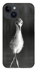 Curious Young Bird Standing in Water - Phone Case
