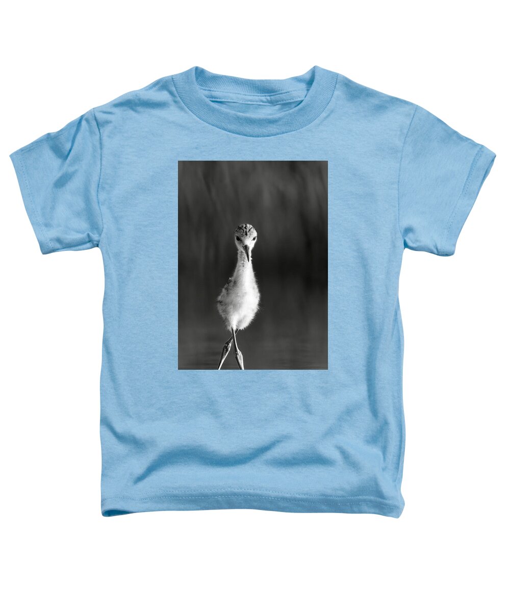Curious Young Bird Standing in Water - Toddler T-Shirt