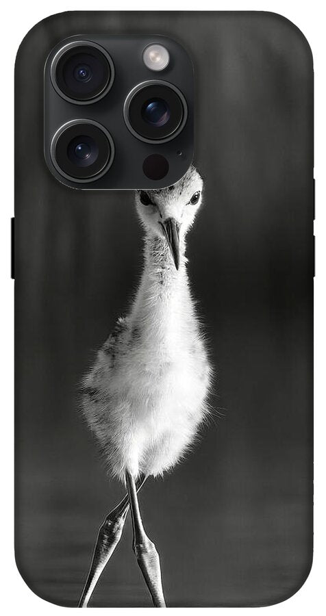 Curious Young Bird Standing in Water - Phone Case