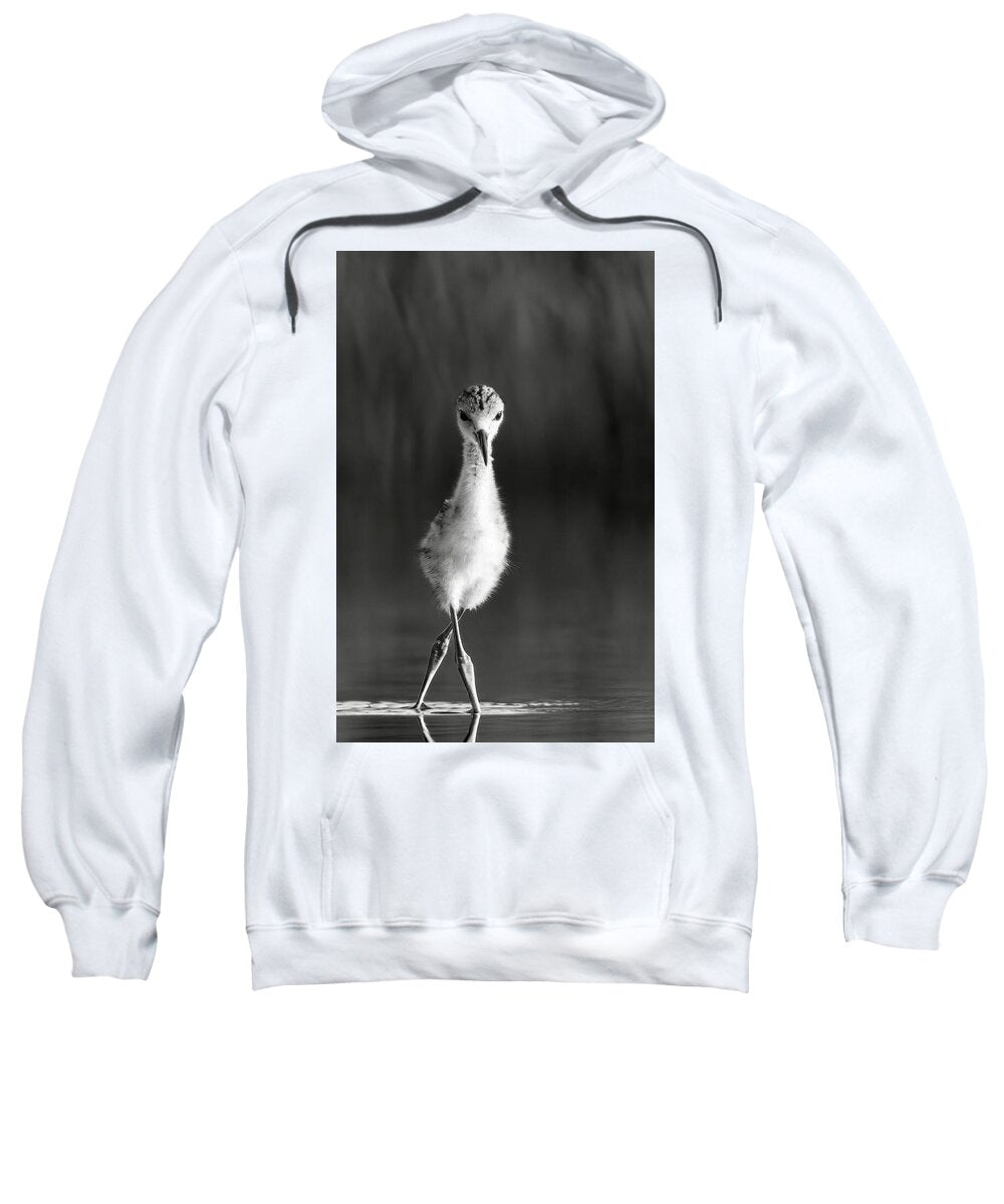Curious Young Bird Standing in Water - Sweatshirt