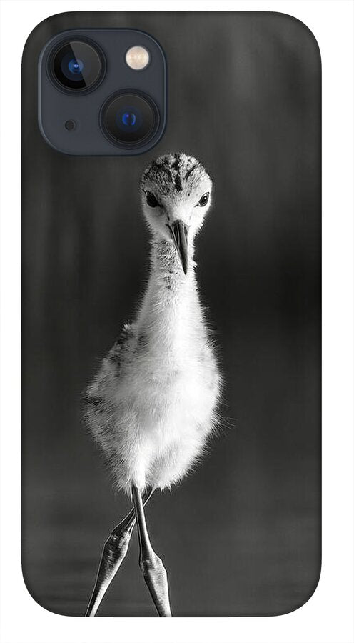 Curious Young Bird Standing in Water - Phone Case