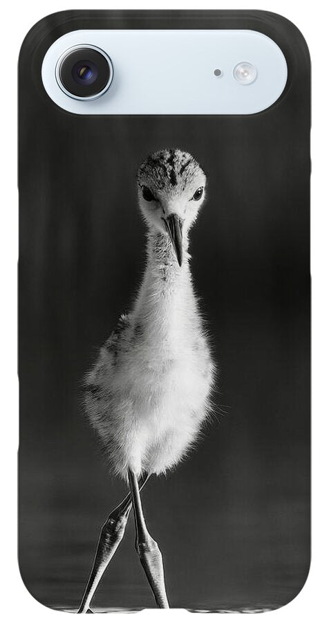 Curious Young Bird Standing in Water - Phone Case